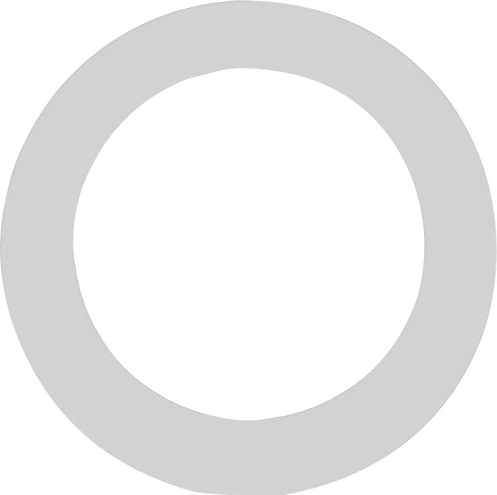 Nylon Gleitring zu AP-SPK 800,  85 x 60 x 1 mm