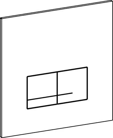 XS/XF Betätigungsplatte Delos DF
